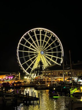 Yaz akşamı, Miami 'de güzel dönme dolap.. 