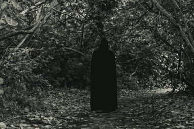 A black figure in a black cloak stands in the forest on the road. Halloween .Soft focus