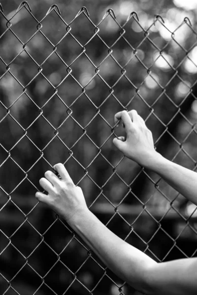 Mãos Rapariga Estão Agarradas Grades Violência Contra Mulheres Prisão Para — Fotografia de Stock