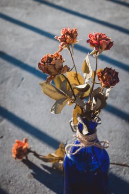  Vazoda gölgesi olan kurumuş güller.