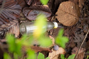 Ormanda ortadan kaldırılan plastik su şişeleri. Dünya kurtarıcı kavram