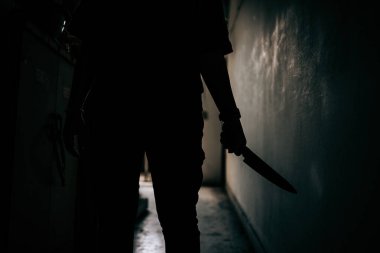 The shadow of a female murderer stood terrifyingly holding a knife and lit from behind.Scary horror or thriller movie mood or nightmare at night Murder or homicide concept.