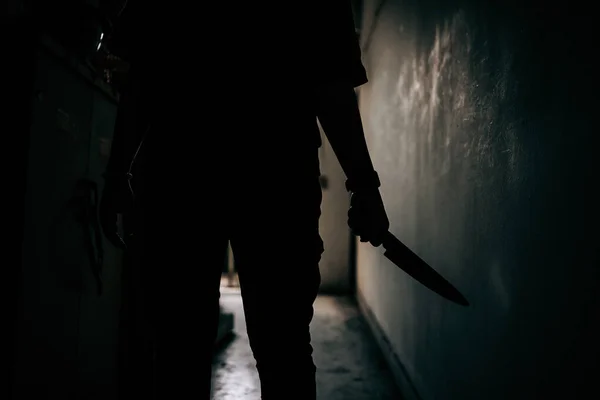 The shadow of a female murderer stood terrifyingly holding a knife and lit from behind.Scary horror or thriller movie mood or nightmare at night Murder or homicide concept.