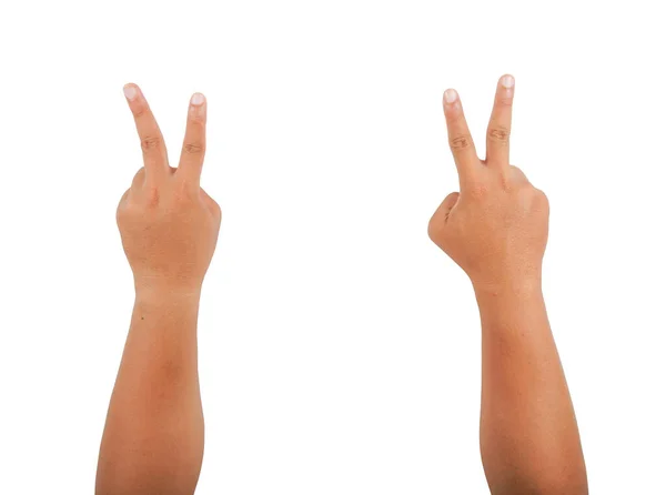 Two Thumbs White Background Clipping Path — 图库照片