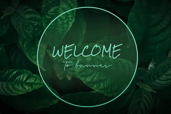 welcome poster on leaf background colorful gradient brush design Vector paper illustration.