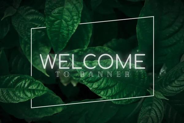 welcome poster on leaf background colorful gradient brush design Vector paper illustration.