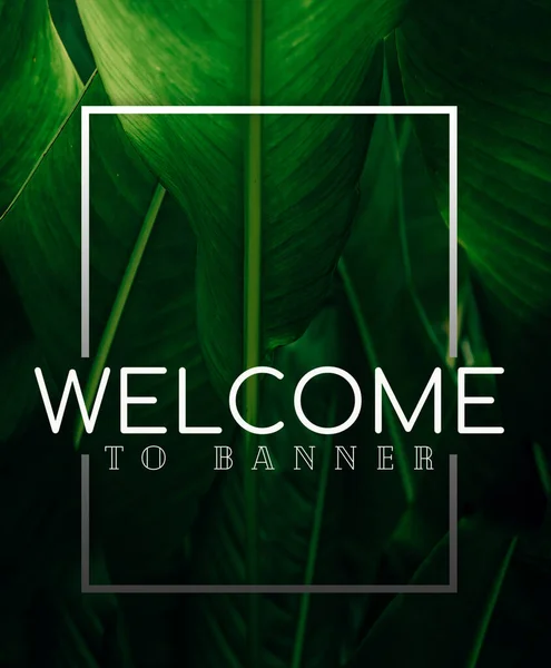 welcome poster on leaf background colorful gradient brush design Vector paper illustration.