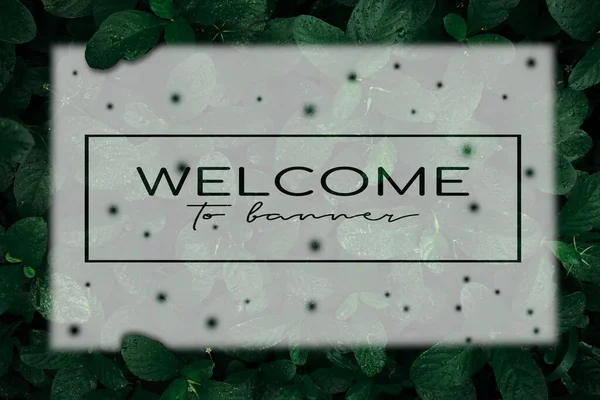 welcome poster on leaf background colorful gradient brush design Vector paper illustration.