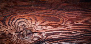 Kaplana benzer desenleri olan eski ahşap bir arka plan.