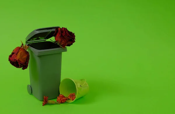 ゴミ箱 乾燥した花 緑の背景に小さな薄緑色のバケツがあります テキスト空間 環境保護 廃棄物の概念 ミニマルスタイル — ストック写真