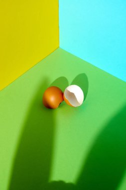 Tavşan kulaklarının gölgesi ve yeşil sarı mavi arka planda yumurta kabukları. Asgari düzeyde. Paskalya.