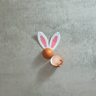 Yaratıcı. Açık gri beton arka planda tavşan kulakları ve yumurta kabukları. Metin uzayı. Paskalya, kutlama, tatil. Üst Manzara. Düz yatıyordu.