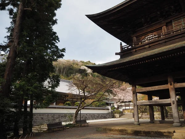 Yolculuk Japon Printemps Ziyaret Eder — Stok fotoğraf