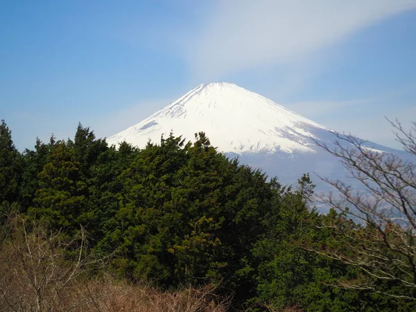 Voyage Visite Japon Printemps — Photo