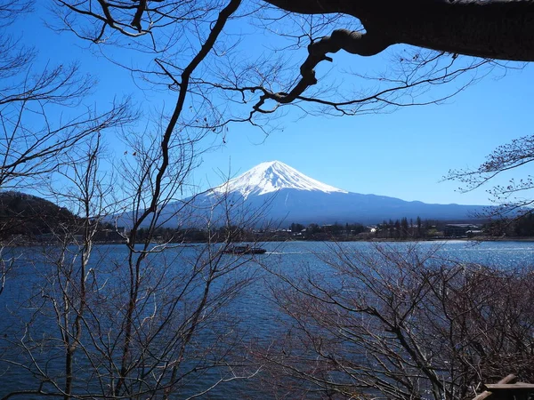 Seyahat Viziti Japon Printemps — Stok fotoğraf