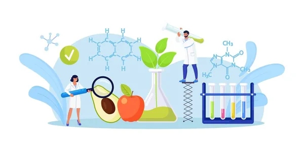 Biyoloji Bilimadamları Meyve Sebzeler Üzerine Araştırma Yapıyor Laboratuvarda Bitki Yetiştiren — Stok Vektör