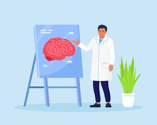 Doctor Apuntando Tablero Demostración Con Cerebro Humano Explica Sus Oportunidades — Archivo Imágenes Vectoriales