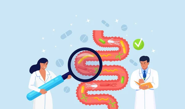 消化器系疾患 Vector Art Stock Images Depositphotos
