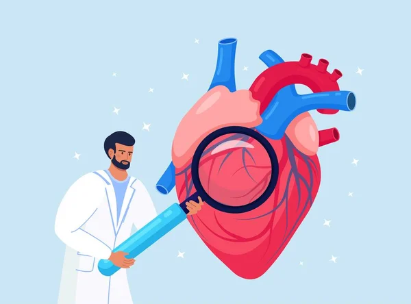Kardiologi Kontrollera Hjärtats Hälsa Och Kardiovaskulärt Tryck Kardiolog Studerar Människans — Stock vektor