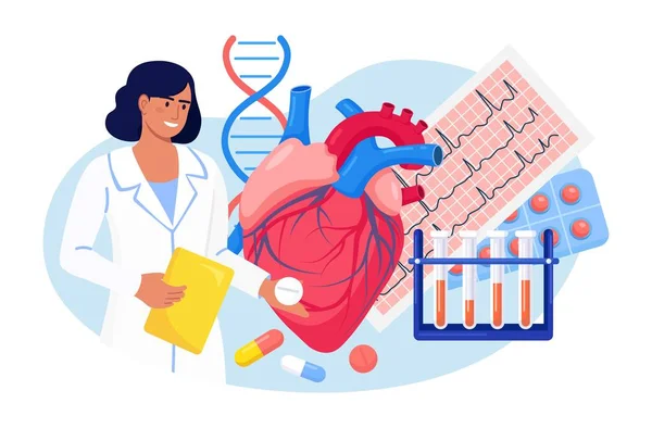 Cardiología Cardiólogo Examina Corazón Humano Médico Tratar Enfermedades Del Corazón — Vector de stock