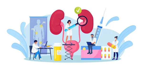 Nephrologie Urologie Winzige Ärzte Machen Medizinische Forschung Untersuchung Gesundheitsprüfung Harnwegsinfektionen — Stockvektor