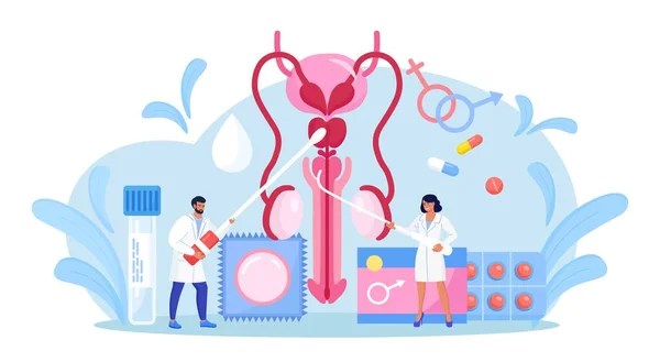 Concepto Urología Urólogo Examinando Sistema Reproductor Masculino Tratamiento Renal Vesical — Vector de stock