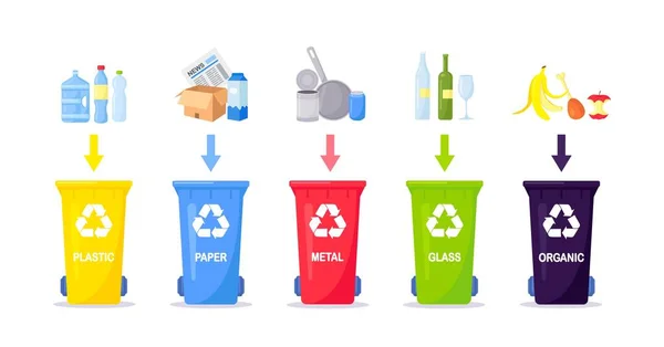 废物收集 分离和循环利用 垃圾分为不同类型 并被收集到废物容器中 每个垃圾桶装不同的材料 — 图库矢量图片