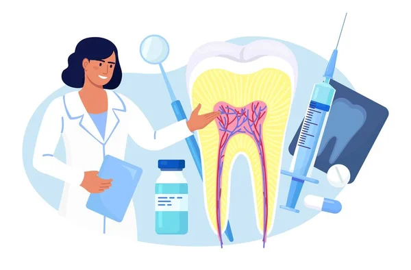 Estomatologia Conceito Odontológico Big Tooth Instrumentos Profissionais Para Check Tratamento Vetores De Bancos De Imagens