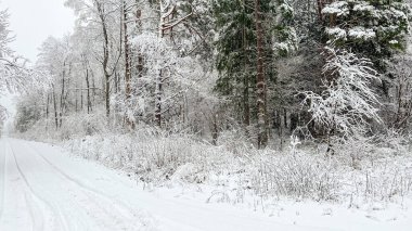 Kışın kırsal alanda yolları ve ağaçları kaplayan kar..