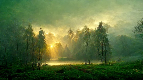 Wonderful Mystical Green Summer Forest Landscape Morning Mist Sunrise Light — Fotografia de Stock