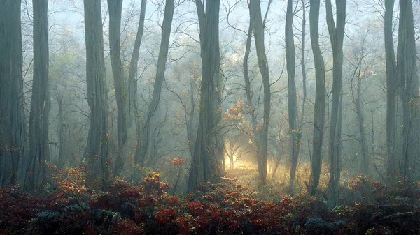 Mystical Forest Landscape Autumn Evening Fog Scenery Dreamy Foggy Forest — Stockfoto