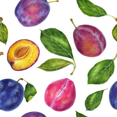 Erikler ve yapraklar botanik gerçekçi suluboya resim. Fotorealistik illüstrasyon. Reklam, hediye kartları, tekstil, kıyafetler, alışveriş poşetleri, sofra takımı, ambalaj tasarımı