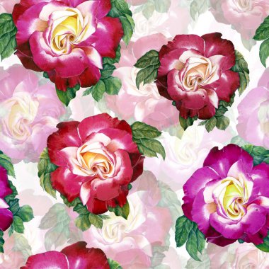 Rose gerçekçi suluboya çizimi. Botanik sanatı. Pembe çiçek. Düğün davetiyeleri için resim yapmak, hediye kartları, ambalaj tasarımı..