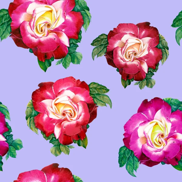 Illustration aquarelle réaliste rose. L'art botanique. Fleur rose. Peinture pour invetations de mariage, cartes cadeaux, conception d'emballage. — Photo