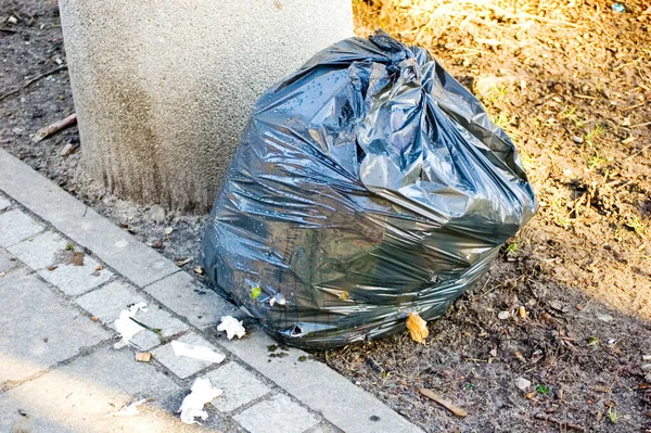 Saco Lixo Plástico Parque Cidade — Fotografia de Stock