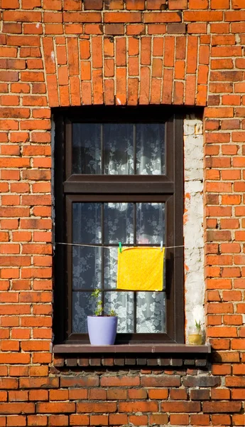 Ностальгические Старые Окна Кирпичные Стены Растения Ткань — стоковое фото