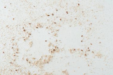 Tohumlu un dokusu. Beyaz yüzey.