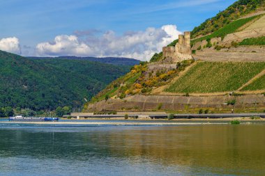 Ruedesheim, Hesse, Almanya - 19 Ağustos 2020: Ehrenfels Kalesi 'nden geçen bir gemi