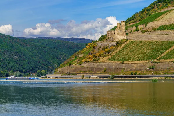 德国黑森州 吕德海姆 2020年8月19日 莱茵河上一艘经过埃伦费尔斯城堡的船 — 图库照片