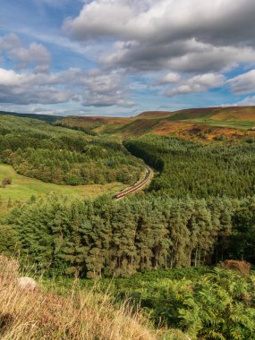 Levisham yakınlarında, Kuzey Yorkshire, İngiltere: 13 Eylül 2018: Tarihi Kuzey Yorkshire Moors Demiryolu treni Newtondale 'den geçiyor, Levisham Moor' daki Skelton Kulesi 'nden görüldü.