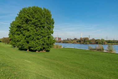 Duisburg, Kuzey Ren-Vestfalya, Almanya - 19 Nisan 2018: Rheinaue Friemersheim 'den Huettenwerke' ye doğru görüş (eritme çalışmaları) Krupp-Mannesmann