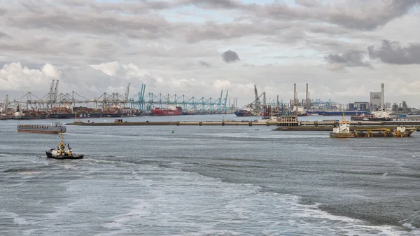 Rotterdam Güney Hollanda Hollanda Mayıs 2019 Avrupa Kıyılarındaki Sanayi Gemilere — Stok fotoğraf