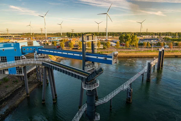 Rotterdam, Güney Hollanda, Hollanda - 13 Mayıs 2019: Avrupa 'nın Beneluxhaven kentindeki feribot terminali