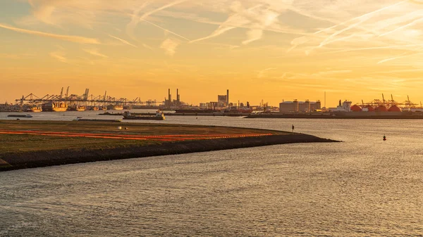 Rotterdam Jižní Holandsko Nizozemsko Května 2019 Večerní Světlo Nad Europoortem — Stock fotografie