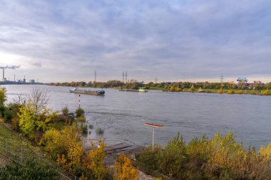Duisburg, Kuzey Ren-Westfalia, Almanya - 11 Kasım 2019 Ren Nehri üzerindeki gemiler, Rheinpromenade Wanheim 'dan görüldü.