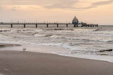 Zingst, Mecklenburg-Batı Pomeranya, Almanya - 13 Haziran 2020: Arka plandaki sahil ve deniz köprüsü