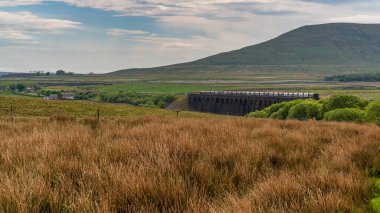Ribblehead yakınlarında, Kuzey Yorkshire, İngiltere - 17 Mayıs 2019: Ribblehead Viaduct 'tan geçen bir yük treni