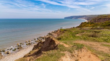Reighton Gap 'teki Yorkshire sahili, Filey ve Bridlington arasında, Kuzey Yorkshire, İngiltere