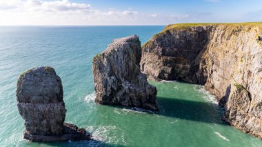 Elegug Stack Kayalıkları, Castlemartin ve Merrion yakınlarında, Pembrokeshire, Galler, İngiltere
