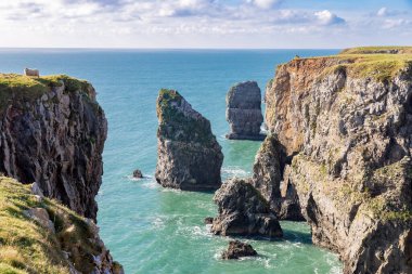 Elegug Stack Rocks, Pembrokeshire, Galler, İngiltere